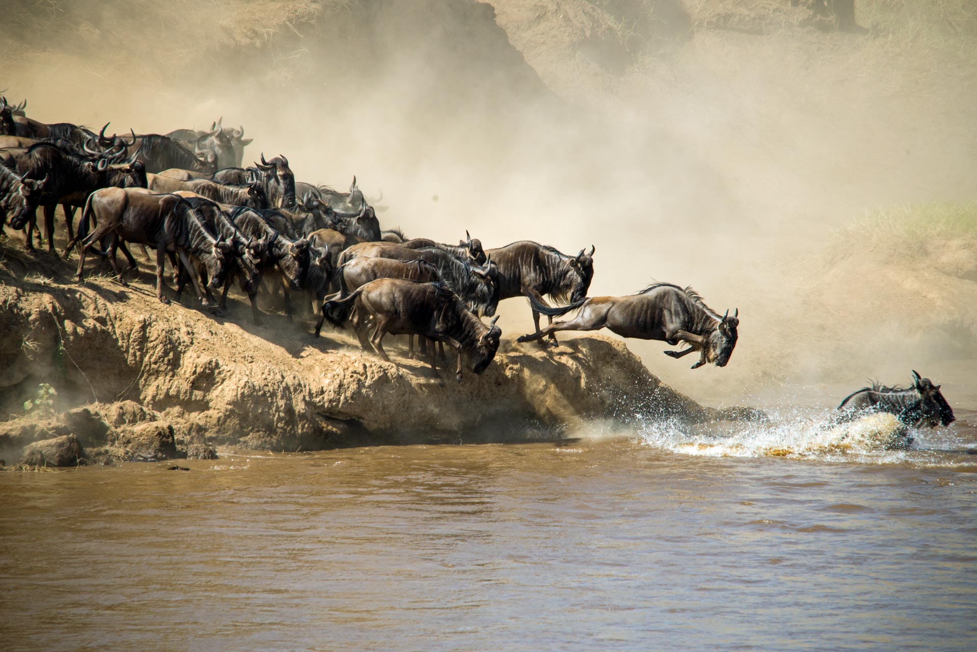 Serengeti-Migration-Safari-2