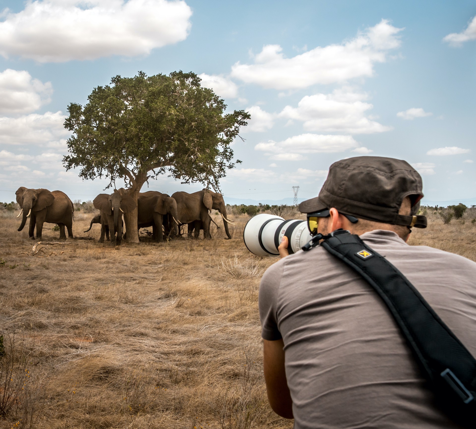 2 Days Mid-Range Safari Trip - Mighty Africa Xpeditions