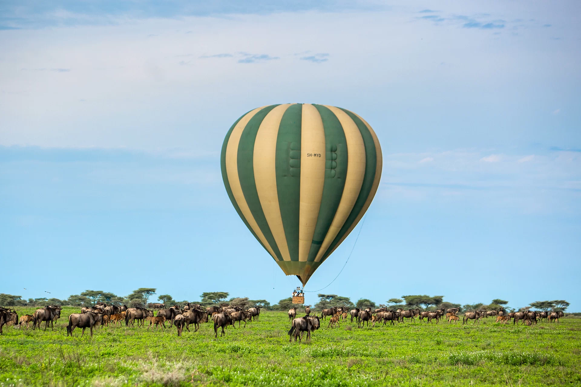 The Serengeti (Hot Air Balloons)