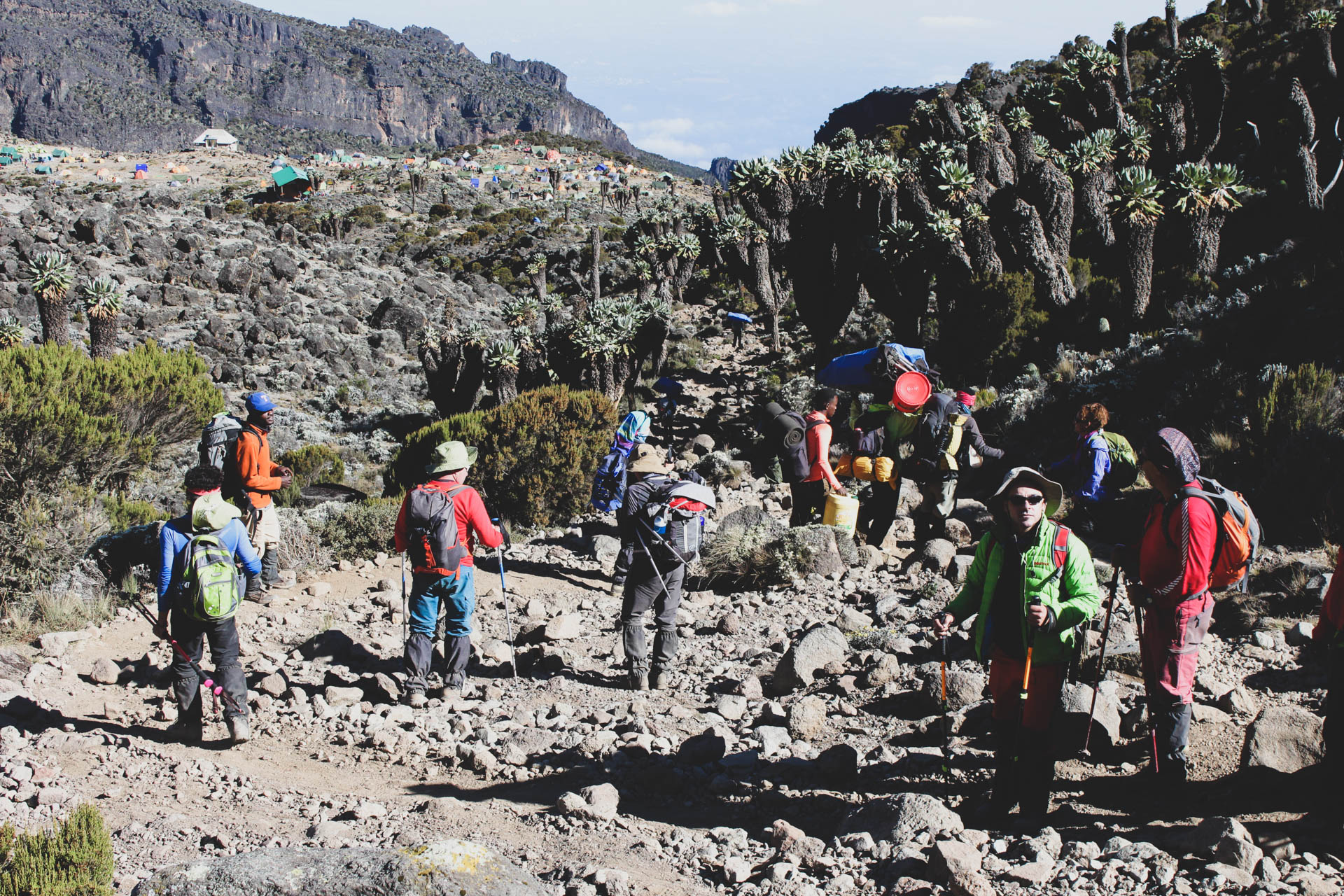 Kilimanjaro Hiking (10)