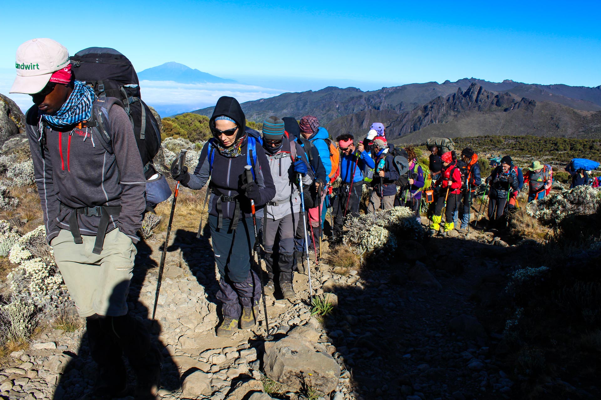 Kilimanjaro Hiking (15)