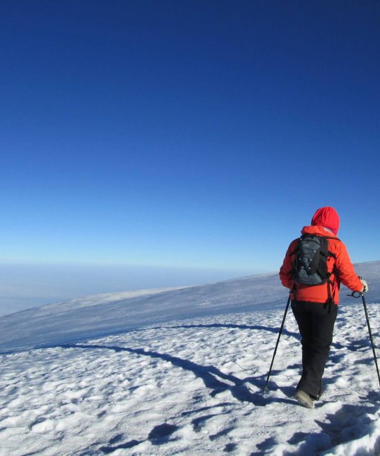 Kilimanjaro Hiking (16)