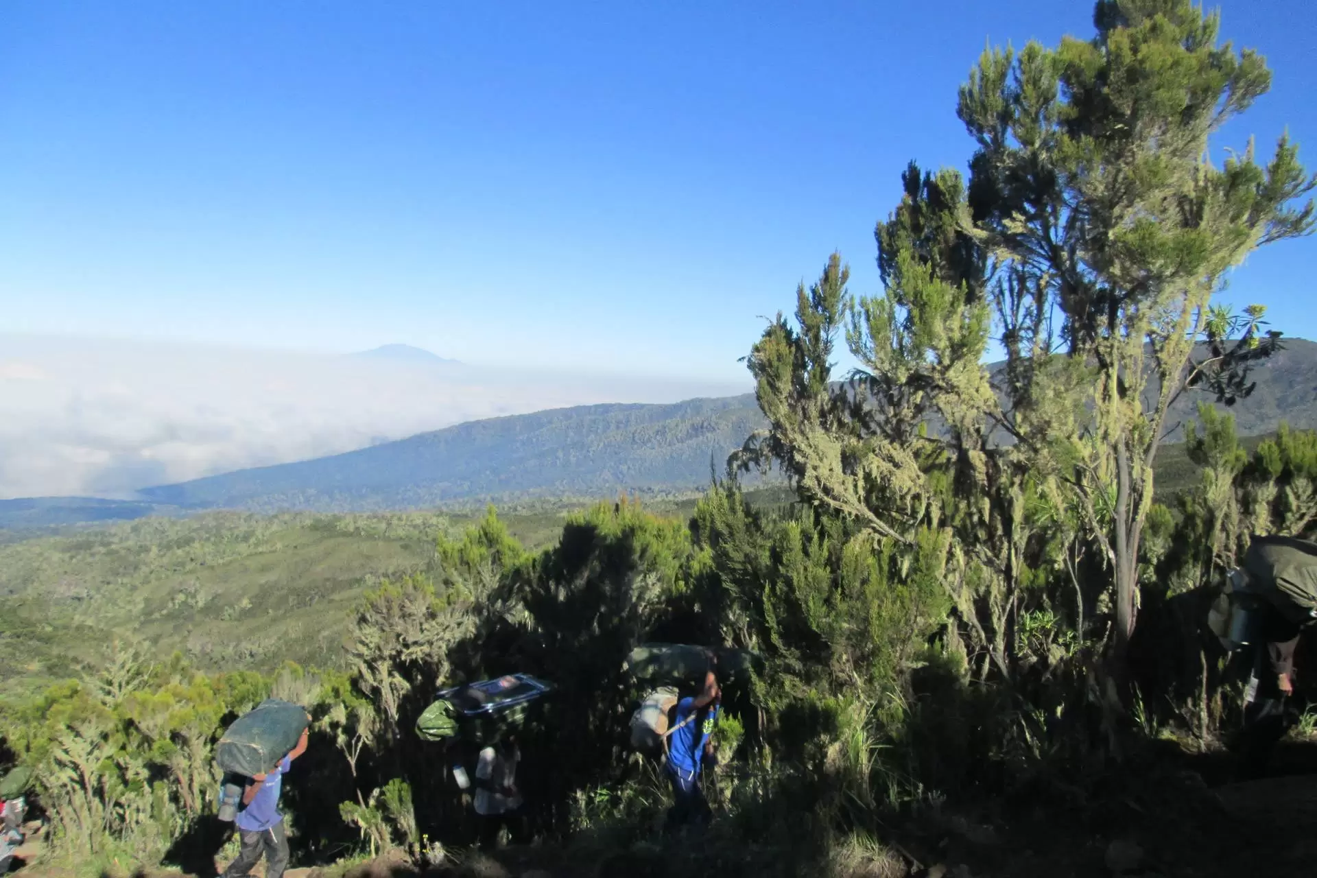 Kilimanjaro Hiking (3)