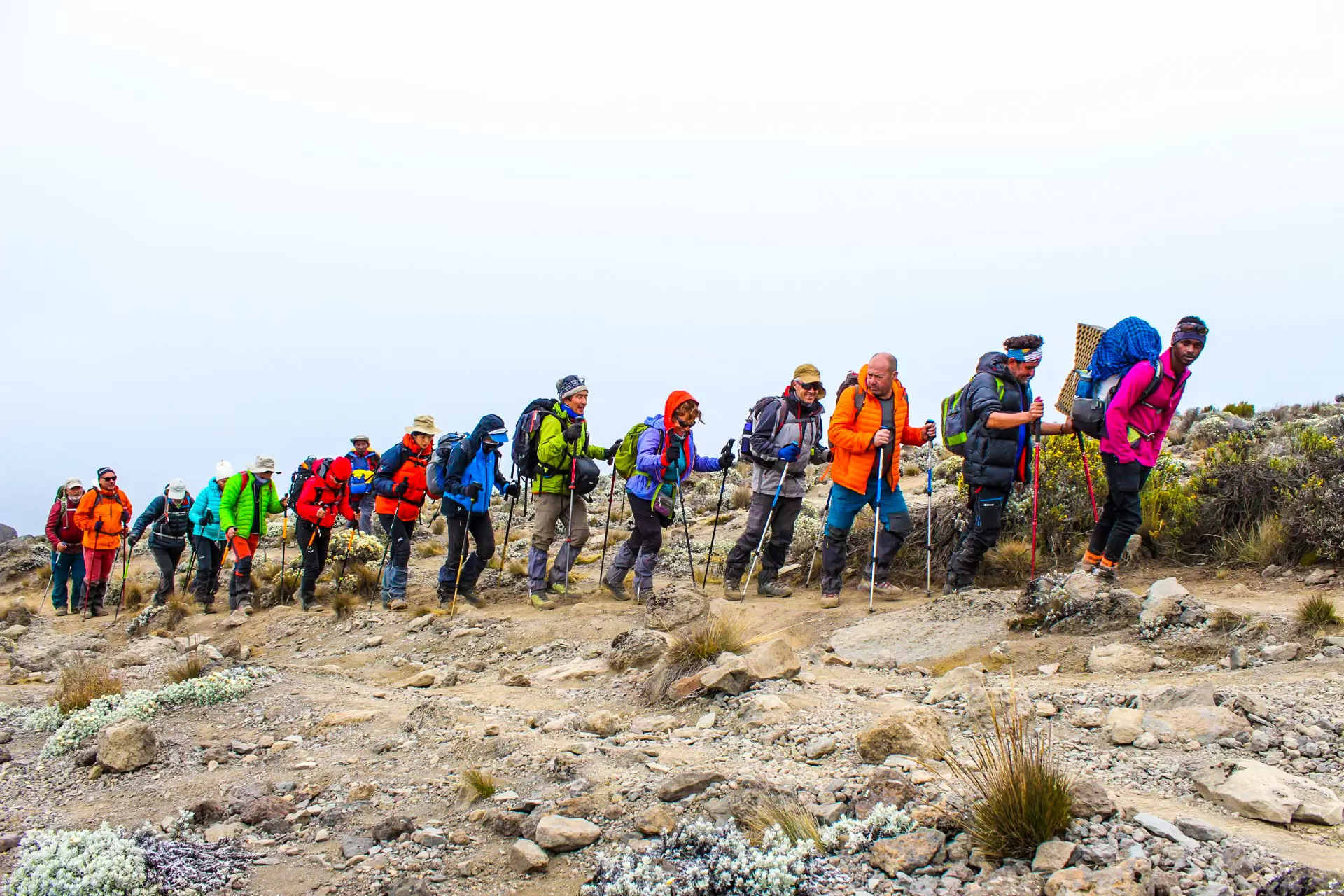 Kilimanjaro Hiking (7)