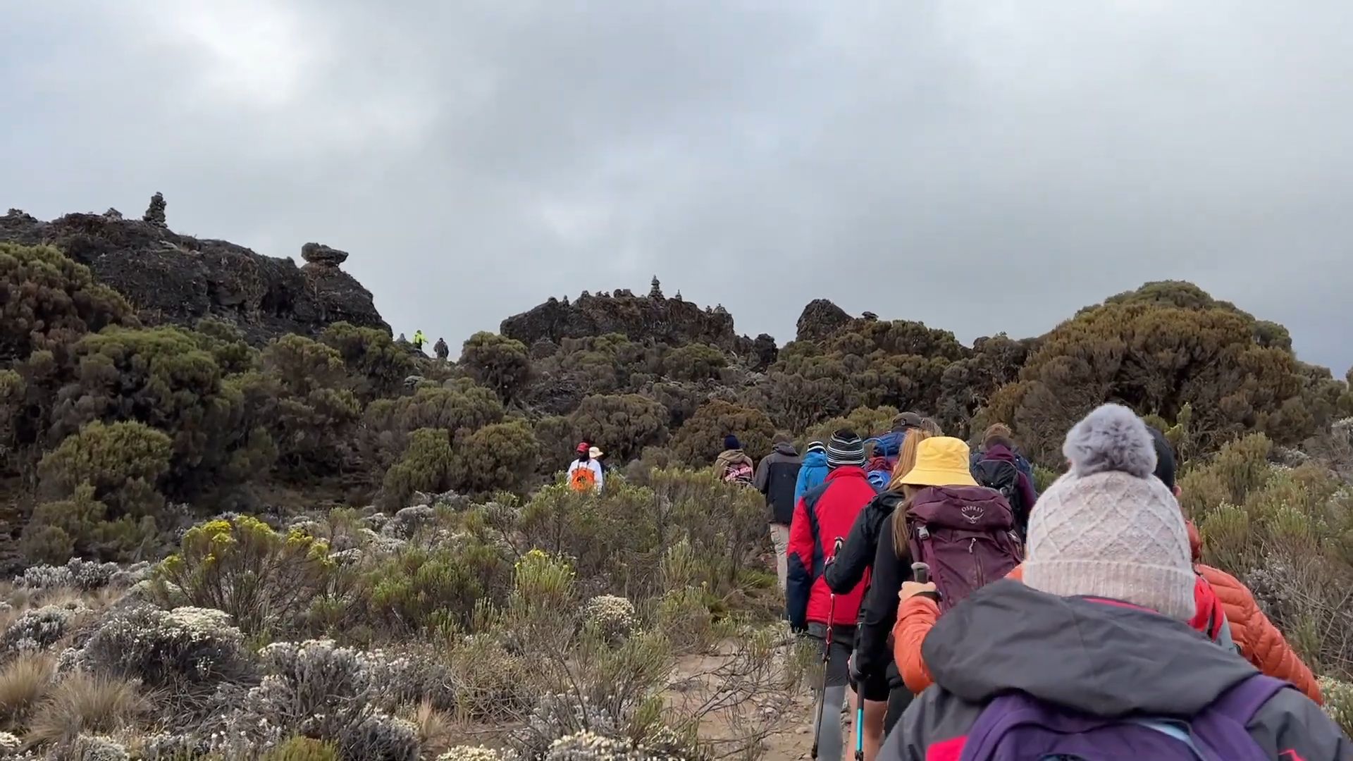 6-Day Machame Route – Kilimanjaro Joining Group