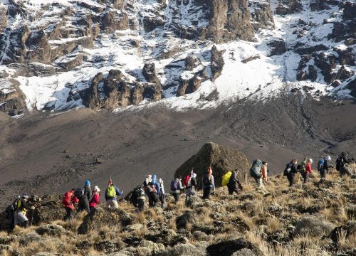 Mount Kilimanjaro Climbing Seasons — A Complete Guide to Choosing the Best Time for Your Trek