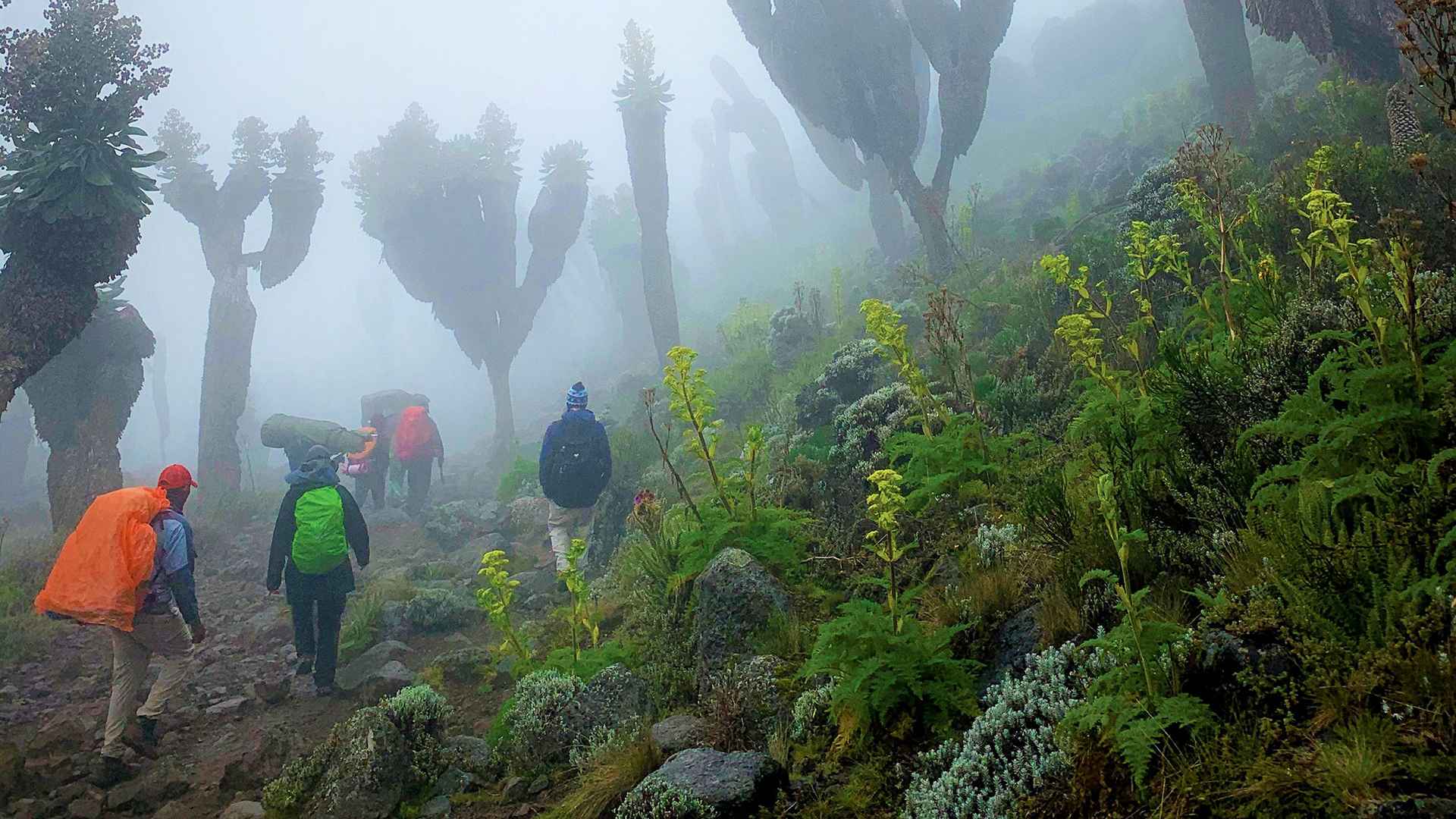 Mount Kilimanjaro Climbing Seasons