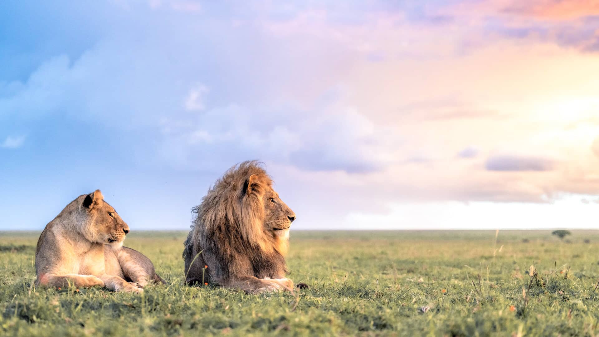 How Many Days Do You Need to Spend in Serengeti National Park?