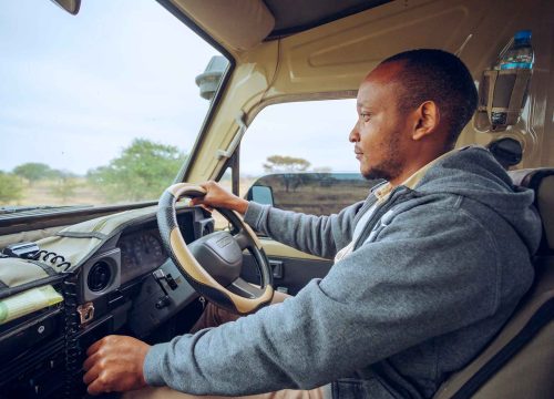 Why It Is Recommended to Book Your Tanzania Travel with Local Tanzania Travel Experts