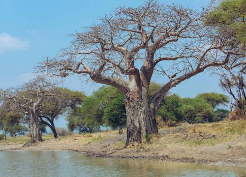 Travel Safety in Tanzania – A Traveler’s Guide to Security in Tanzania