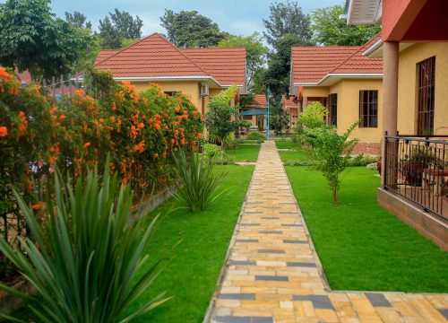 Where to Stay Near Kilimanjaro International Airport (JRO): The Complete Accommodation Guide for Mighty Africa Xpeditions Travelers