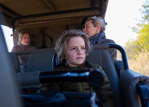 The Cost of Traveling to Africa with Kids – A Detailed Guide to Tanzania Safari Costs