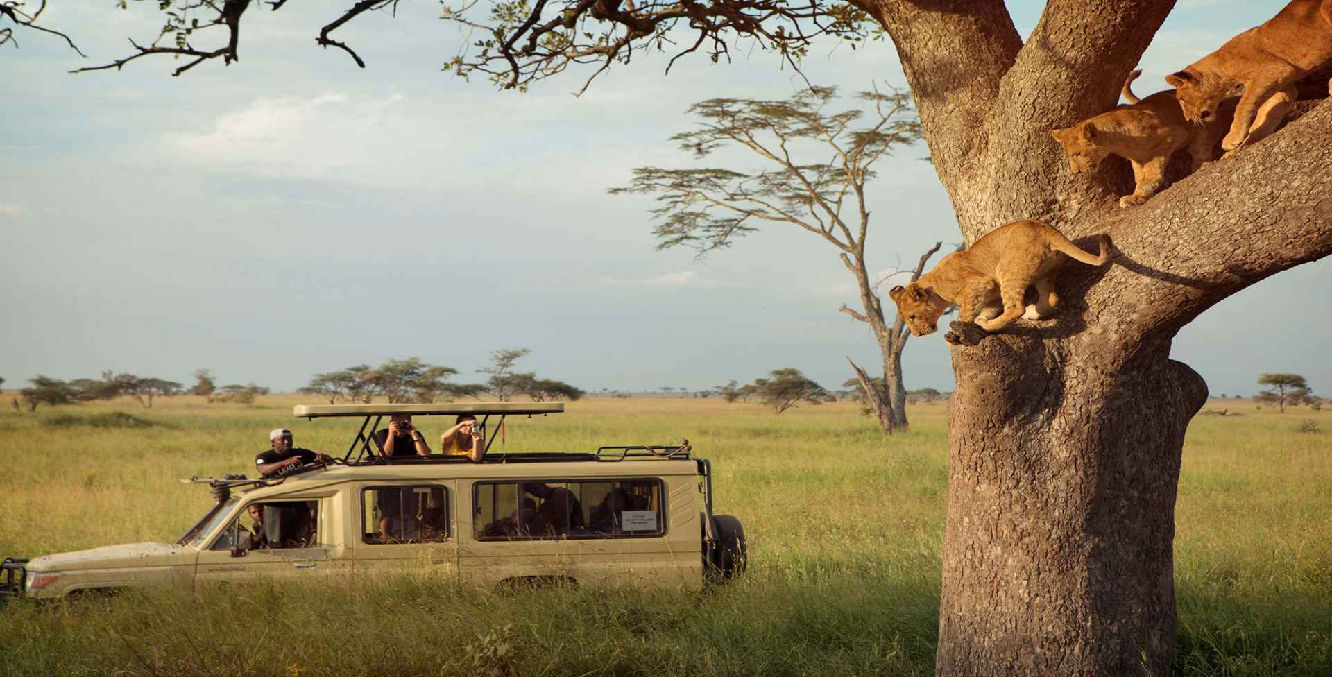 Travel Safety in Tanzania