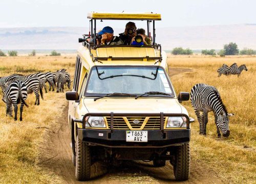 Tanzania Photographic Safari Vehicles: Designed for the Perfect Wildlife Shot
